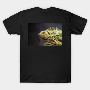 Iguana T-Shirt